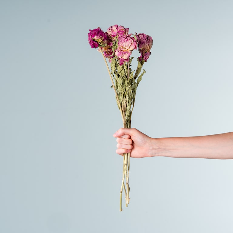 blume2000 Trockenblumenbund Paeonie Neueste Mode