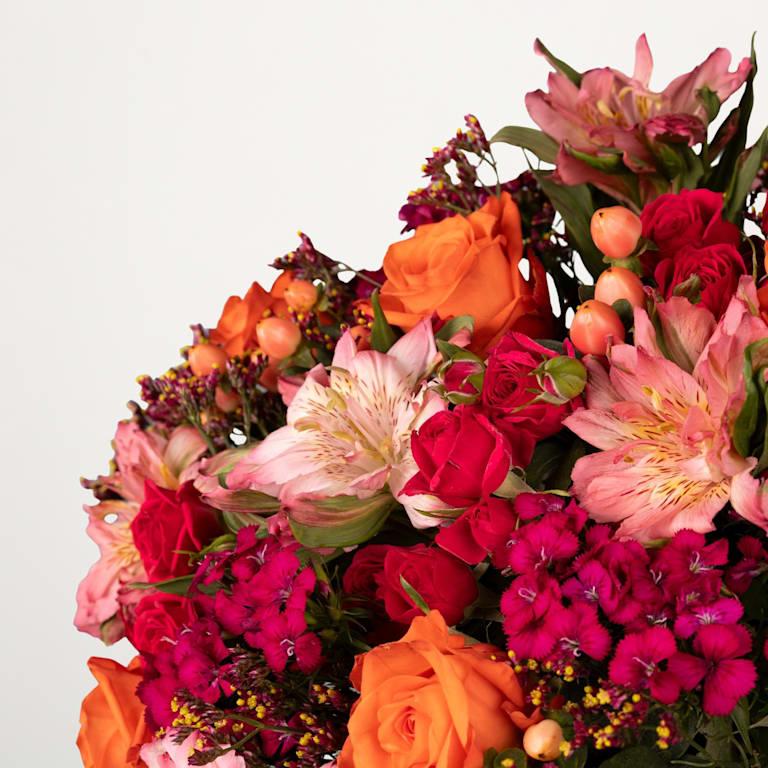 blume2000 Pink Perfection Bestseller