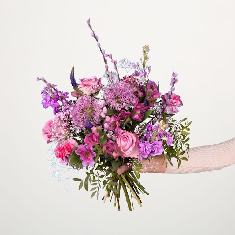 blume2000 Violet Surprise