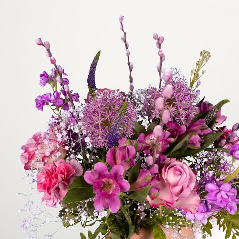 blume2000 Violet Surprise Tiefpreis