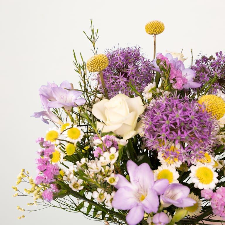 blume2000 Spring Garden Mix Super Sparpreis