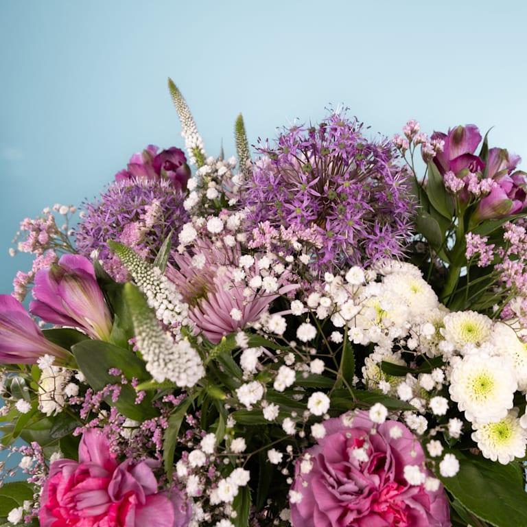 blume2000 Frühlingszauber Letzte 3 Tage