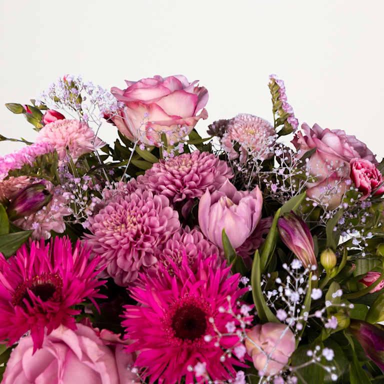 blume2000 Cheers for life JETZT KAUFEN