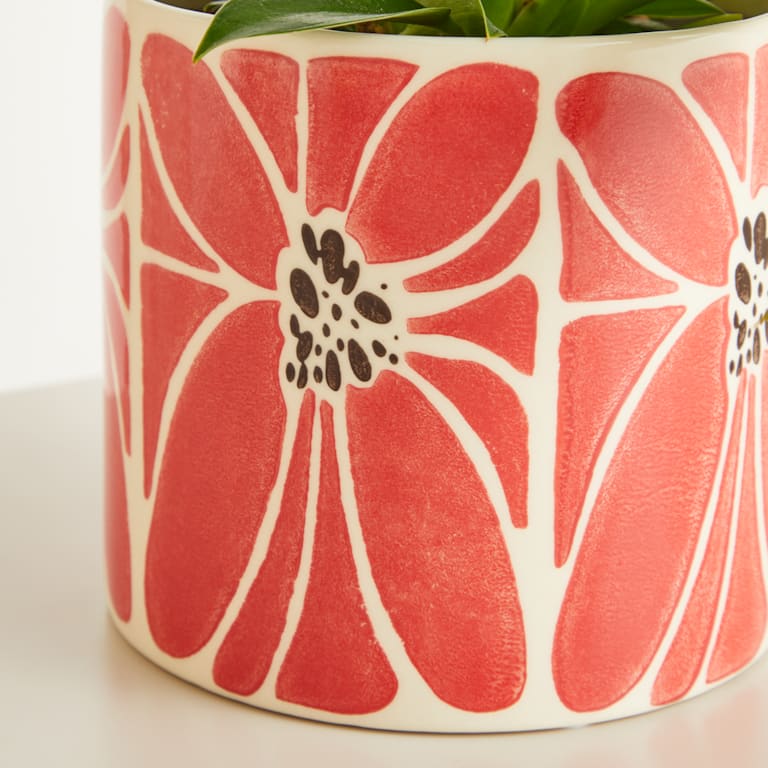 blume2000 Keramik Übertopf Blume Rot - 12 cm Nur für heute