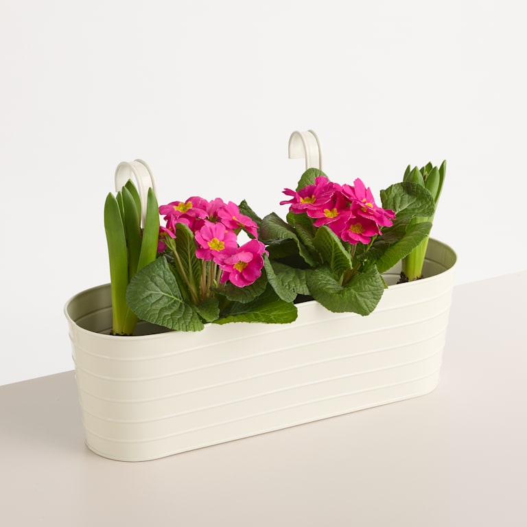 blume2000 Metall Balkonkasten Rille Creme Groß