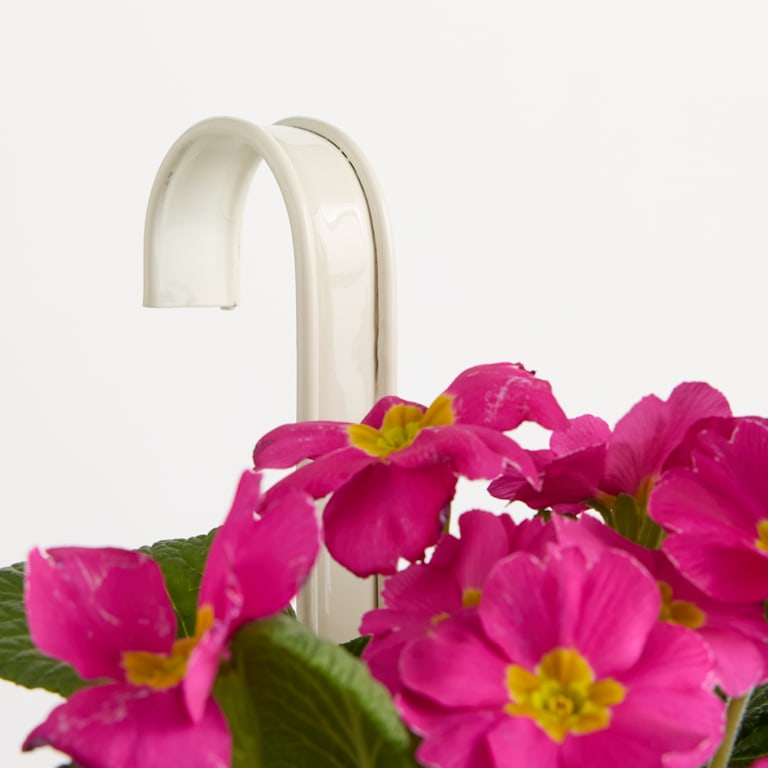 blume2000 Metall Balkonkasten Rille Creme Groß Nur noch ein Tag übrig