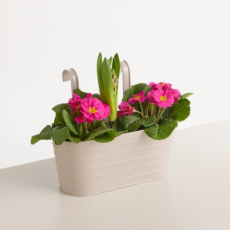 blume2000 Metall Balkonkasten Rille Taupe Klein