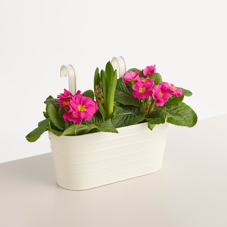 blume2000 Metall Balkonkasten Rille Creme Klein
