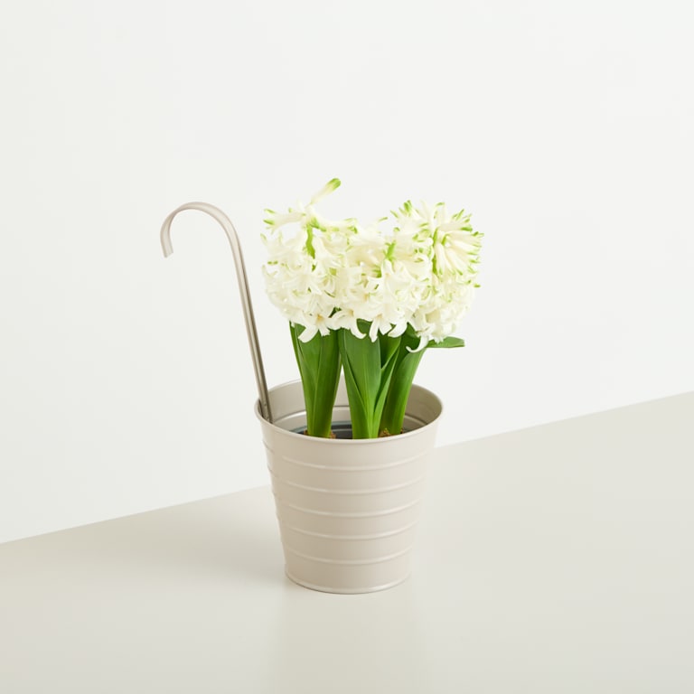 blume2000 Metall Hängetopf Taupe - 13 cm Clearance-Verkauf