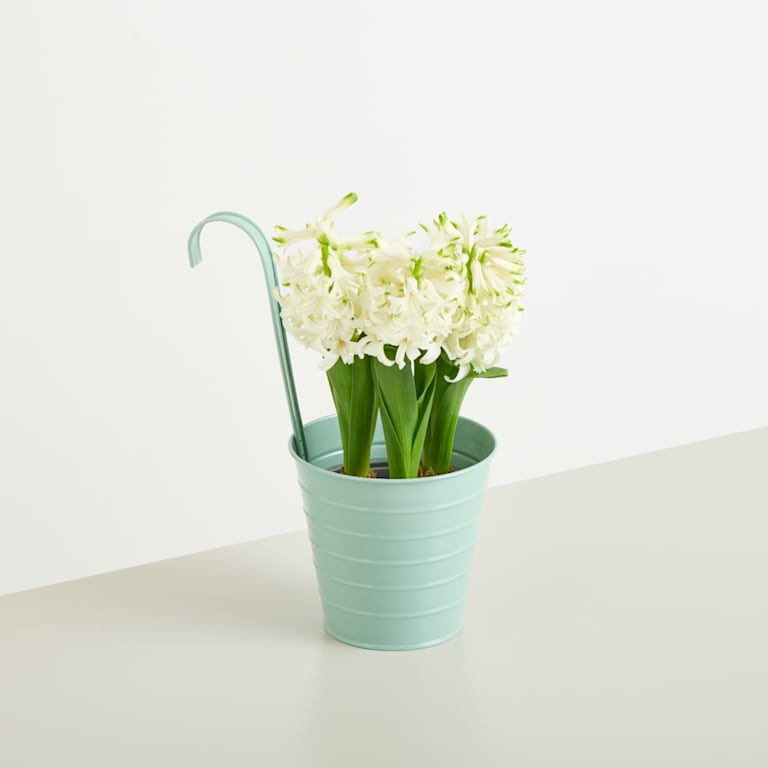 blume2000 Metall Hängetopf Grün - 13 cm