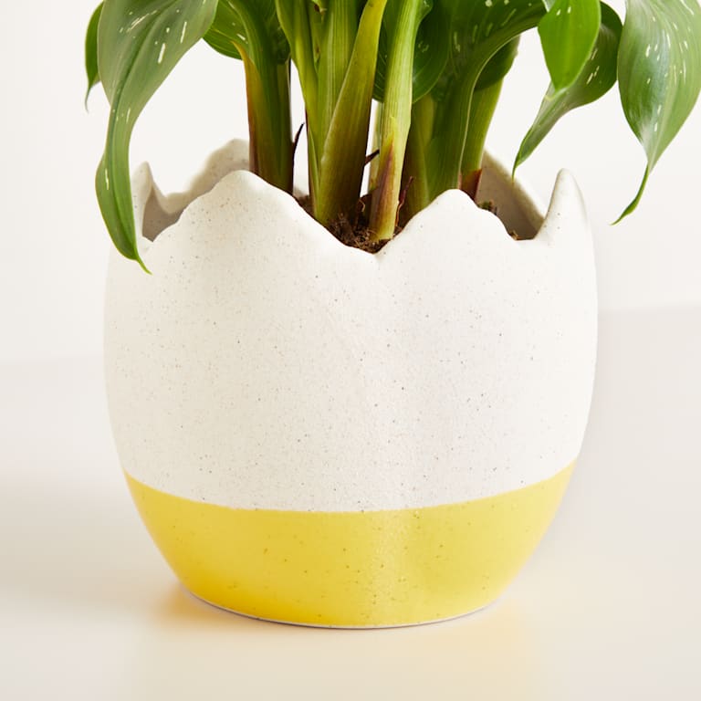 blume2000 Keramik Übertopf Ei Gelb - 10 5 cm Online Shopping