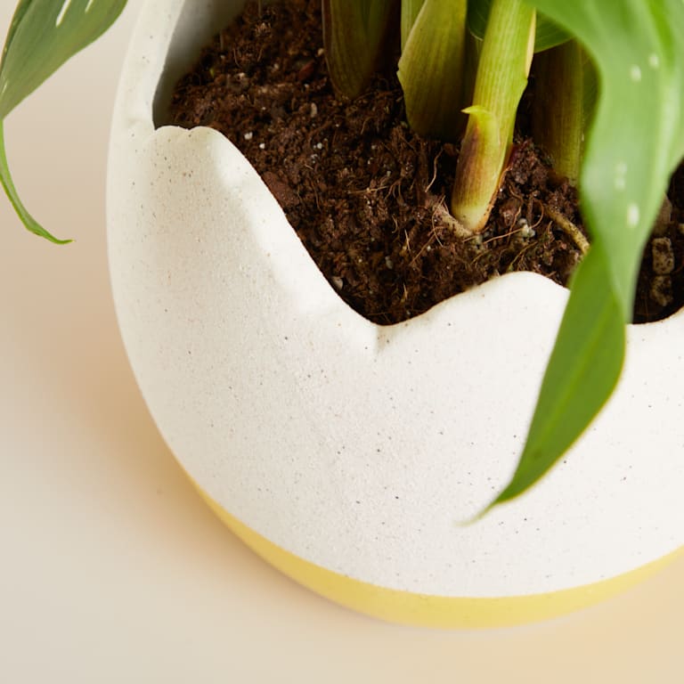 blume2000 Keramik Übertopf Ei Gelb - 10 5 cm Online Shopping