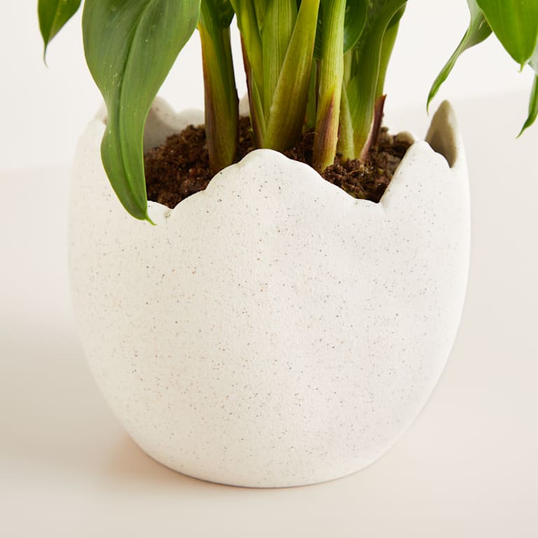blume2000 Keramik Übertopf Ei Sand - 10 5 cm Exklusivangebot