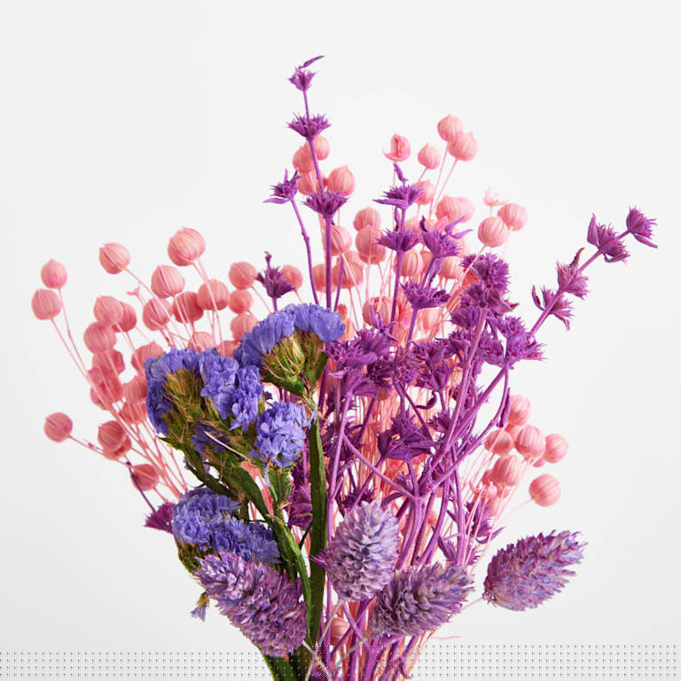 blume2000 Trockenblumenbund Pink Osterangebot
