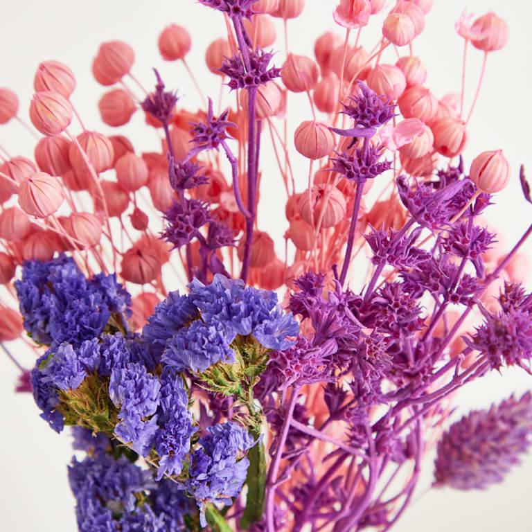 blume2000 Trockenblumenbund Pink Osterangebot