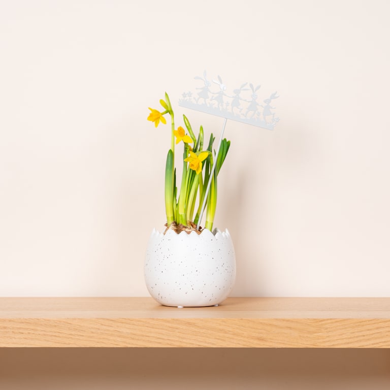 blume2000 Metall Stecker Hasenparty Creme Blitzangebot