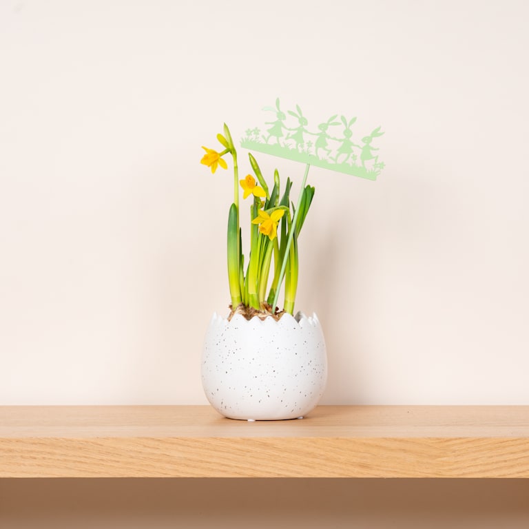 blume2000 Metall Stecker Hasenparty Mint Große Rabatte