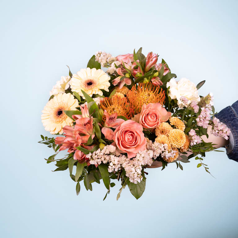 blume2000 Peachy Spring