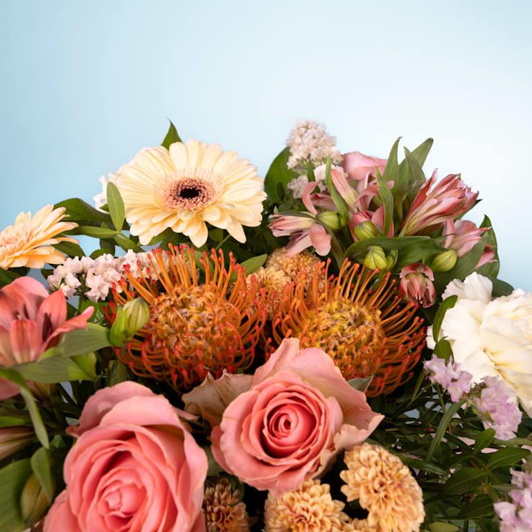blume2000 Peachy Spring Super Sparpreis