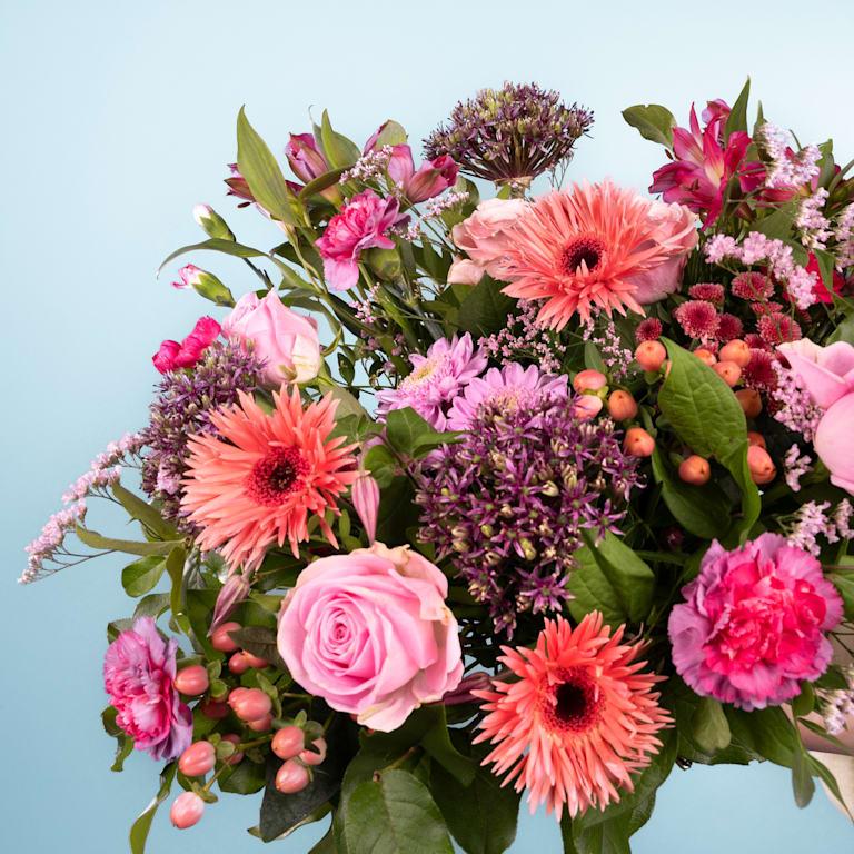 blume2000 Blütenrausch Begrenzte Freigabe