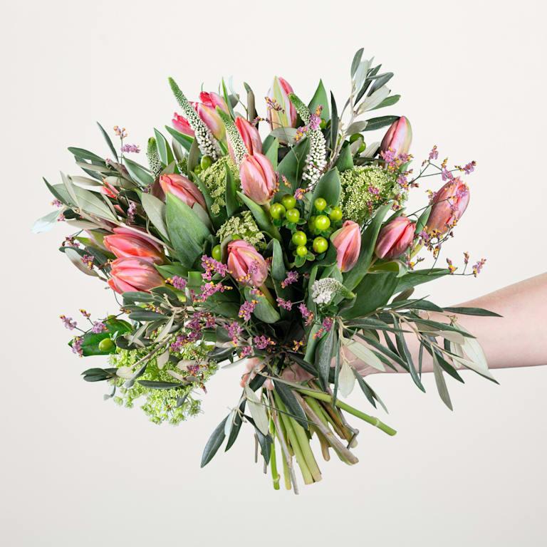 blume2000 Tulip Crush