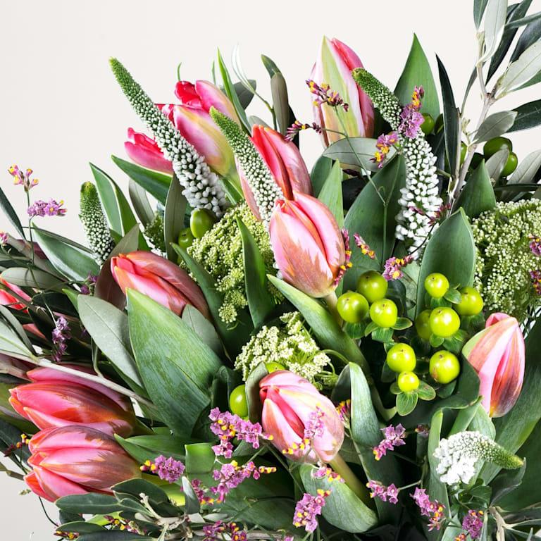 blume2000 Tulip Crush Letzte 2 Tage