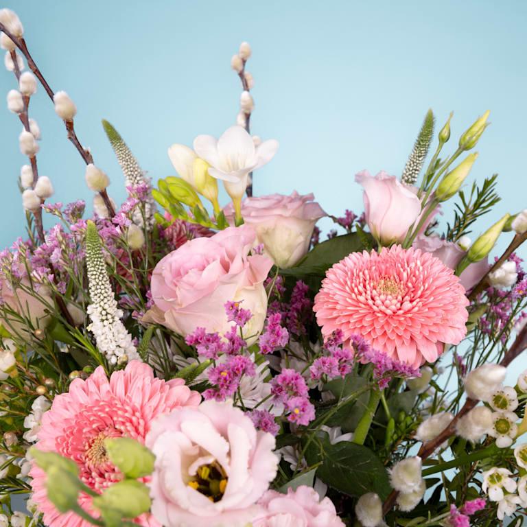 blume2000 Frühlingsgruß Sonderangebot der Fabrik