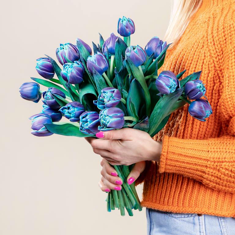 blume2000 Blaue Tulpen 'Bibble' - 20 Stiele