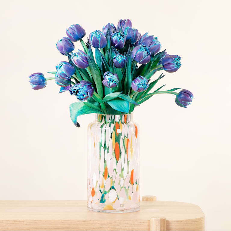 blume2000 Blaue Tulpen 'Bibble' - 20 Stiele Heißer Verkauf