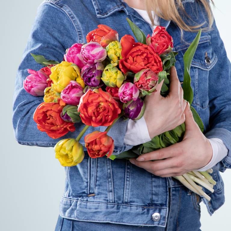 blume2000 Bunte Freilandtulpen - 30 Stiele