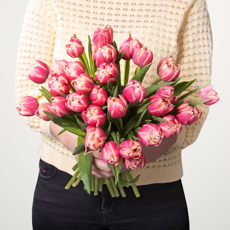 blume2000 Rosa Tulpen 'Columbus' - 30 Stiele Online Outlet