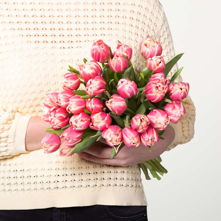 blume2000 Rosa Tulpen 'Columbus' - 30 Stiele Online Outlet