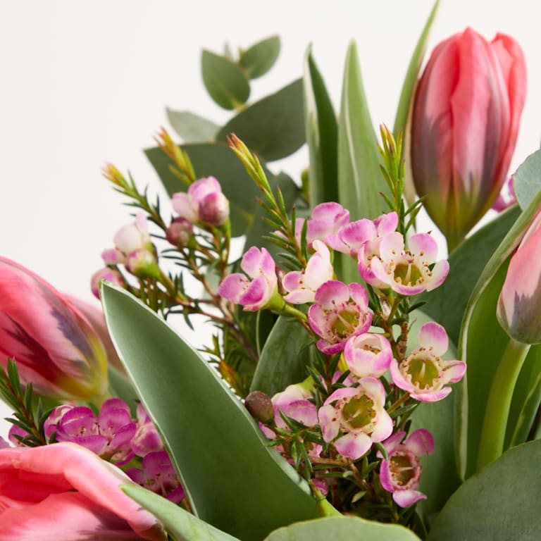 blume2000 Tulpentraum mit Lieblingsvase Peak Exklusive Angebote