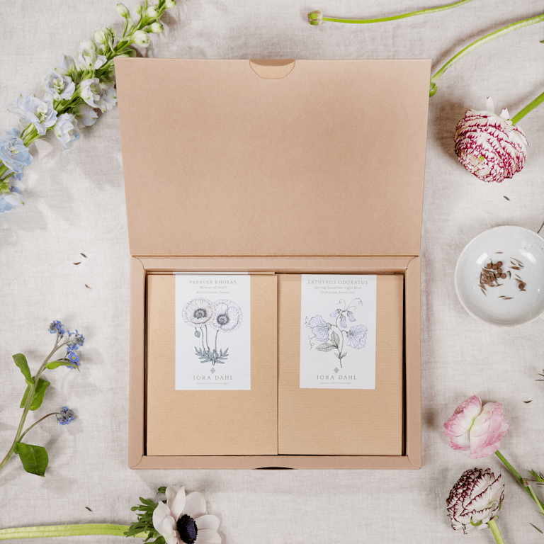 blume2000 Jora Dahl x BLUME2000 Samengutkollektion Cut Flower Seeds Letzter Tag