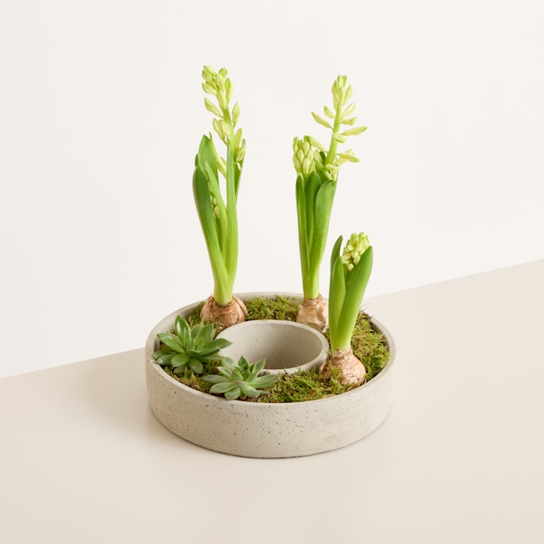 blume2000 DIY Betonring Spring Blossom