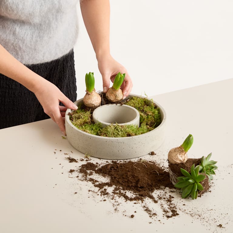 blume2000 DIY Betonring Spring Blossom Zeitbegrenzte Promotion