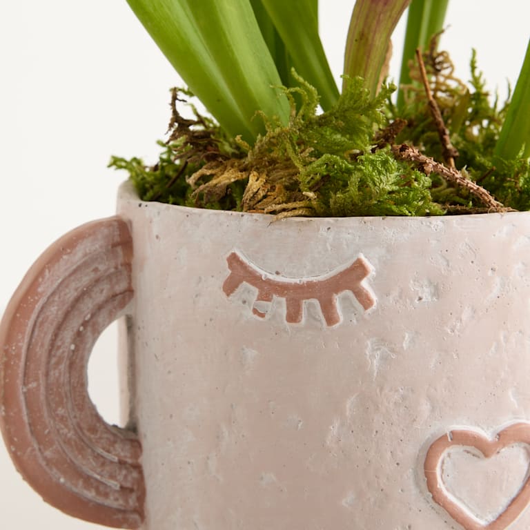 blume2000 Grünpflanze im Topf Happy Plant Im Verkauf