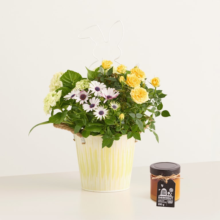 blume2000 Orchidee im Topf Happy Easter mit Diebesgut Honig 250g Online