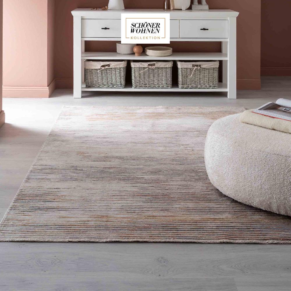 wohndirekt Teppich Wohnzimmer CHARME in 4 Größen und 6 Farben Clearance-Verkauf