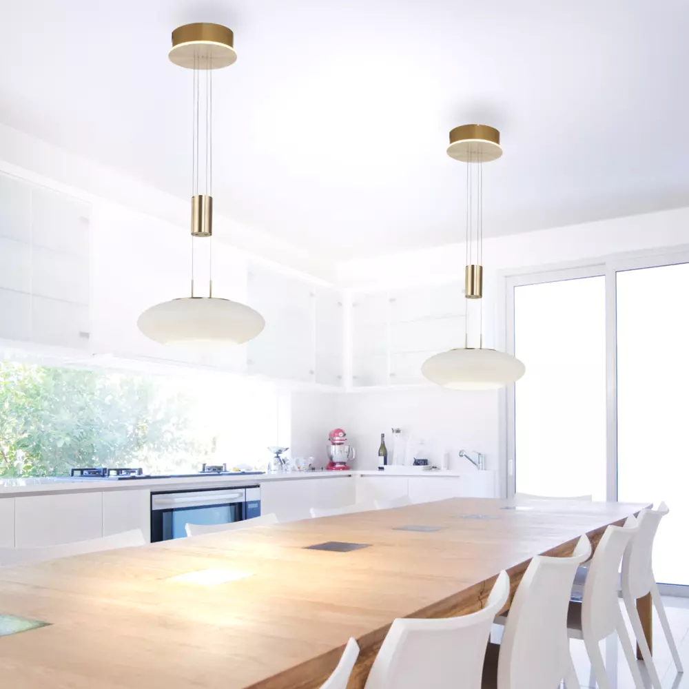 smarthome Paul Neuhaus Q-ETIENNE Pendelleuchte 1-flammig Paul Neuhaus kaufen Wochenangebot