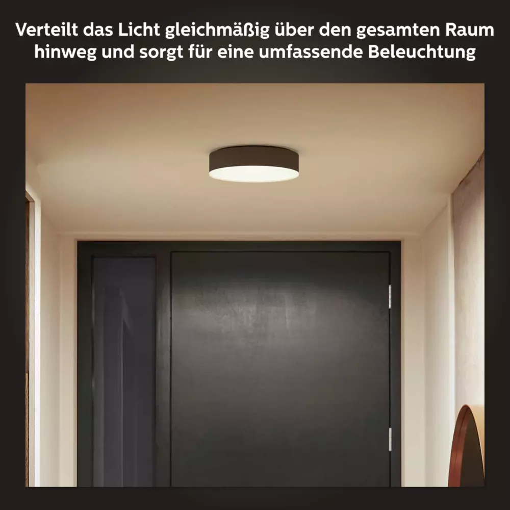 smarthome Philips Hue White Ambience Enrave Deckenleuchte S inkl. Dimmschalter kaufen Letzte 2 Tage